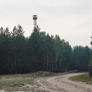 В России будут поощрять регионы, которые не допускают лесных пожаров 