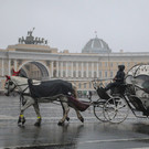 В Санкт-Петербурге зафиксировали рекордный дефицит солнца за 60 лет