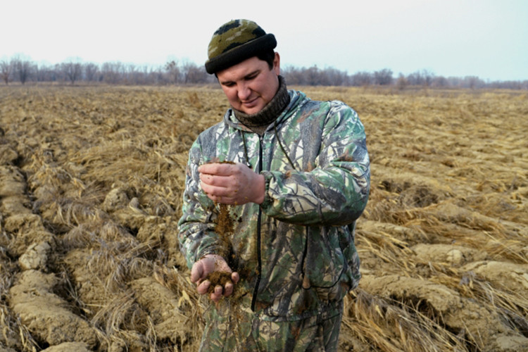 «Люди по 2–3 года не могут получить ответа!»: Татарстан готовит закон о земле для ветеранов СВО