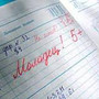 В школах могут отменить пятибалльную систему оценок