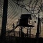 В Казани двух сотрудников УФСИН задержали по подозрению в избиении заключенного