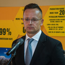 Венгрия назвала подготовку инструкторов на Украине первым шагом к отправке европейских войск в зону СВО