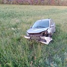 На трассах Татарстана насмерть сбили двух кабанов и косулю
