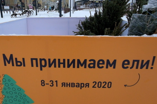 В Казани заработали пункты приема новогодних елок