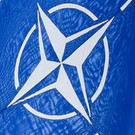 Парламент Венгрии ратифицировал заявку Швеции на вступление в НАТО