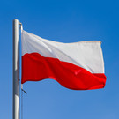 Польские фермеры разлили свиной навоз на границе для борьбы с мусульманами-нелегалами