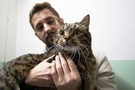Толстого кота Виктора привезут в Казань 