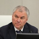 Володин обвинил Украину в торговле детьми