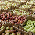 Назван топ-3 самых подорожавших продуктов в Татарстане за неделю