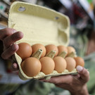 Росптицесоюз предложил ограничить наценку на яйца в пределах 10%