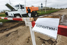 Минниханов установил карантин по бешенству в жилом массиве в Казани​