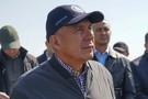 Минниханов на юго-западе Татарстана оценил виноградники и сыр сорта камамбер