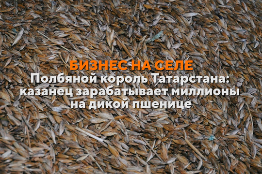 Бизнес на селе #37. Как татарстанец возродил в России полбу и стал миллионером