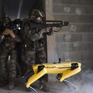 Французские военнослужащие взяли на разведку робопса Boston Dynamics