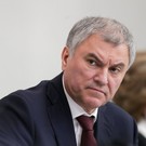 Володин призвал законодательно запретить деятельность МУС в России