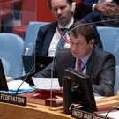 Россия запросила срочное заседание СБ ООН в связи с ударом ВСУ по Лисичанску