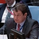 Полянский раскритиковал расследования Дании, Швеции и ФРГ по «Северному потоку»