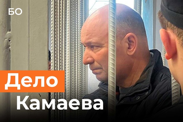 Как Камаева лишили должности и оставили в СИЗО