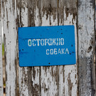 В Татарстане осудили женщину, натравившую собаку на 6-летнего ребенка