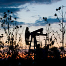 Счетная палата: Доля нефтегазовых доходов России упала до минимума за 16 лет