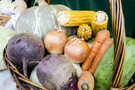 Власти РТ утвердили норматив дохода от продажи продуктов, выращенных в огороде