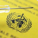 ВОЗ: В Ливане из-за беженцев зафиксирован случай холеры – риск распространения болезни очень высок
