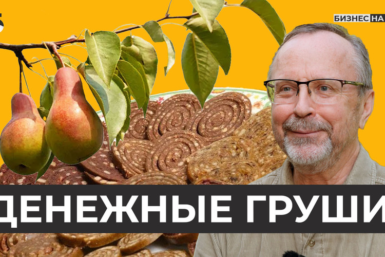 Фермер из Татарстана посадил самый большой в республике грушевый сад и возродил татарский десерт