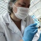 Власти Свердловской области ввели обязательную вакцинацию, заявив, что альтернатива – локдаун