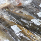 Россия усилит контроль за продуктами из Японии из-за сброса радиоактивной воды в океан
