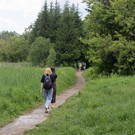 В Татарстане на 21 день продлили ограничение на пребывание в лесах