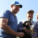 Метшин и Слуцкий выбрали себе собак из приюта