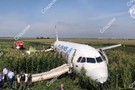 ТАСС узнал результаты промежуточного отчета МАК о причинах ЧП с Airbus A321, севшим в кукурузное поле