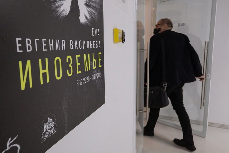 Как в Казани восторгались творениями жены Сердюкова – художницы EVA