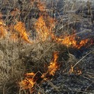 «Слабая работа всех наших структур, муниципалитета»: Магдеев о гибели на пожарах в Челнах