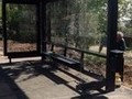 К саммиту БРИКС в Казани заменят 10 остановок общественного транспорта
