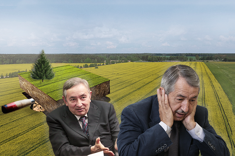 Земли, поросшие быльем: у Абдуллиных отбирают 7% Мамадышского района