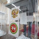 Эксперт: явка на выборах в Госсовет РТ составит 65–70%