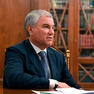 Володин: заморозка российских активов не повлияет на экономику страны