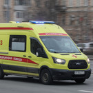 В РТ пострадавший после нападения собак школьник пришел в сознание после операции