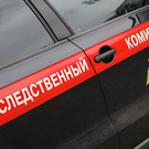 Следствие просит ужесточить меру пресечения блогеру Лерчек и ее супругу