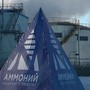 Сингапурский холдинг Indorama может купить контрольный пакет татарстанского «Аммония»