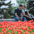 На цветочное оформление Челнов потратят почти 8 миллионов рублей 