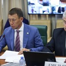 Муллин озвучил в Совфеде проблему с трамваями в Нижнекамске – он попросил посодействовать в ее решении