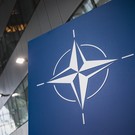 FT: В НАТО обсуждают два варианта отношений с Украиной 