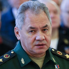 Шойгу лично доложил Путину об успешном освобождении ЛНР