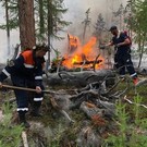 Дым от лесных пожаров в Якутии впервые в истории достиг Северного полюса
