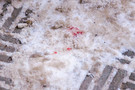 В Менделеевске проходит сбор средств для мальчика, спасшегося от отчима-убийцы