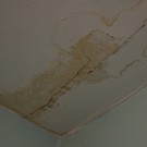 В Челнах жалуются на «плачевное состояние» здания Камского строительного колледжа