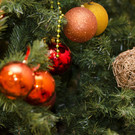 В России с 1 января запретят устанавливать новогоднюю елку возле стены: новые требования