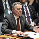 МИД Швейцарии: Существует десяток мирных планов по Украине, в том числе секретных